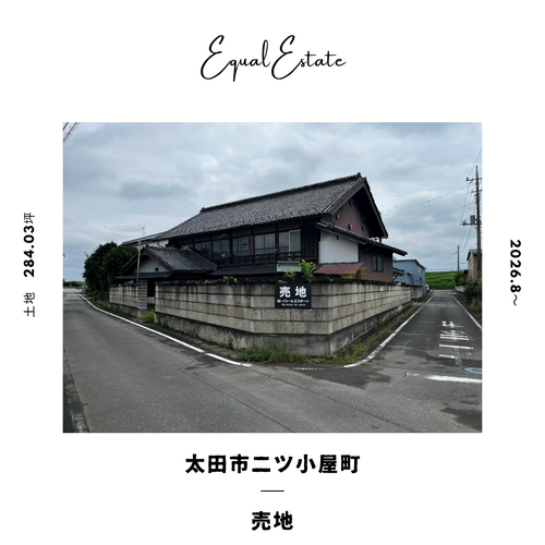 画像2553