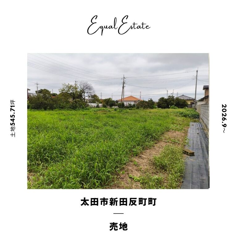 画像2594