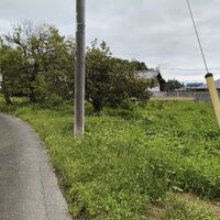 画像2597