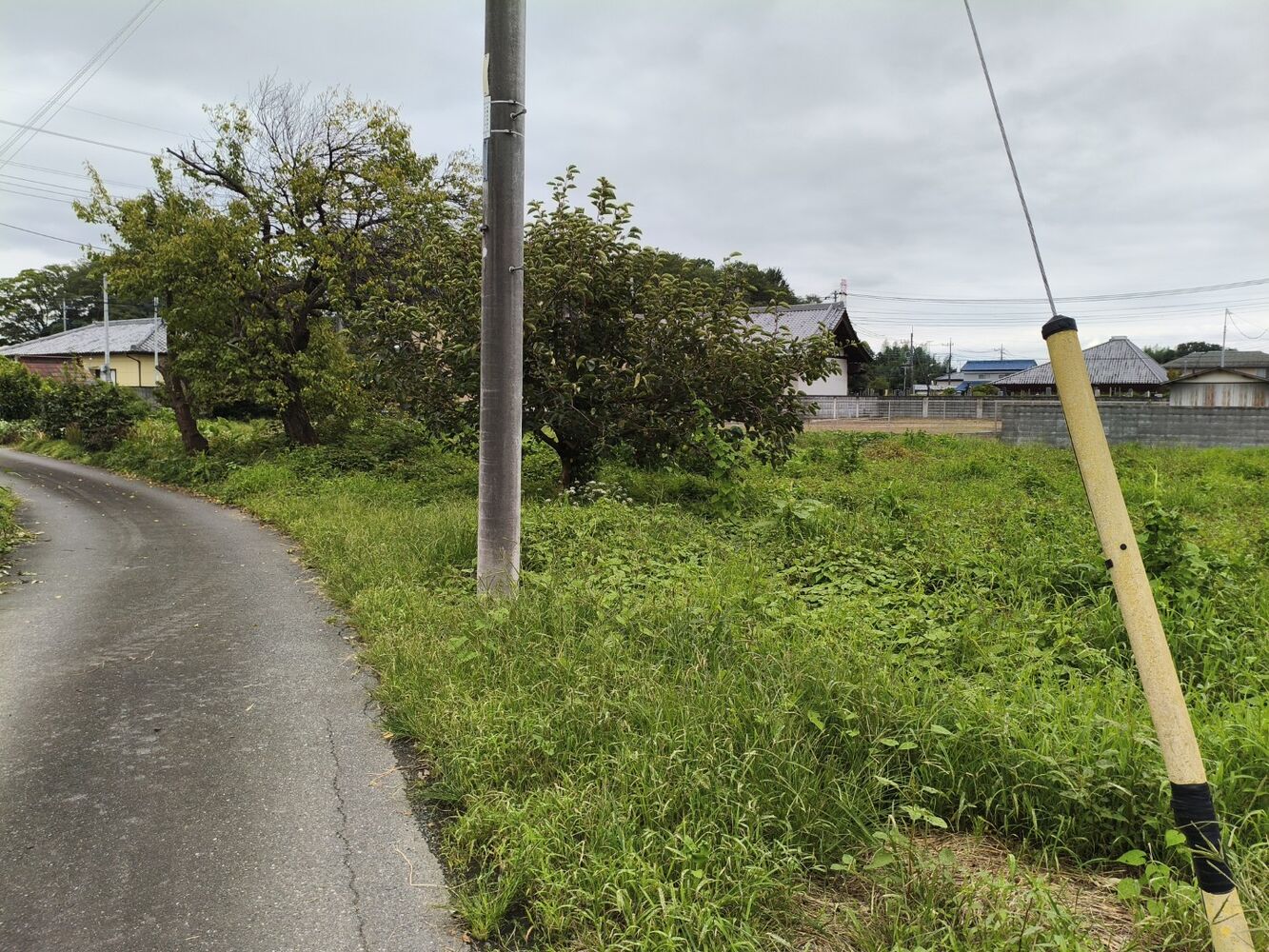 画像2597